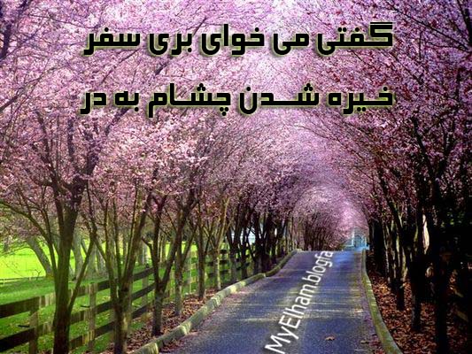 شب رفتنت آرزو می کنم /// خدا وقت دوریتو کم تر کنه