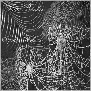 Spider_Web_Brushes_Set_1_by_Falln_Brushes.jpg