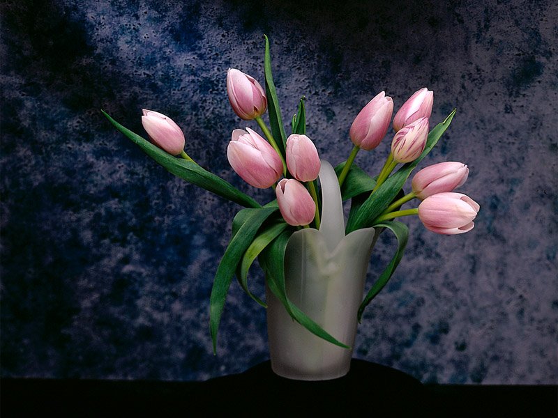 منظره