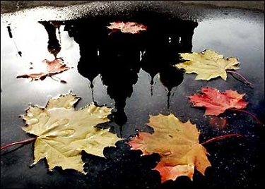 .....پاییز........پاییز....