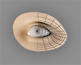 eye_modelling.jpg