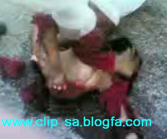 http://img.majidonline.com/pic/160007/2ntirh4.jpg