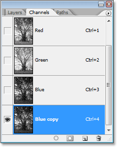 blue-copy.gif