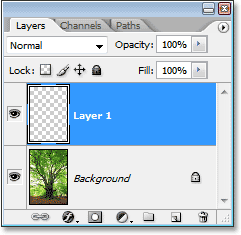 layer-1.gif