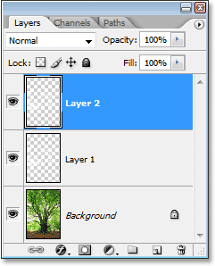 duplicate-layer.gif