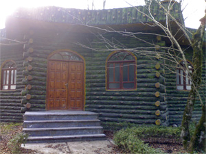 horror_shack_by_mohammad_amiri.jpg