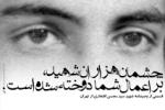 http://www.fadaiyane-eslam.blogfa.com/