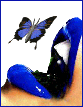 mohammd_butterfly_khor.gif