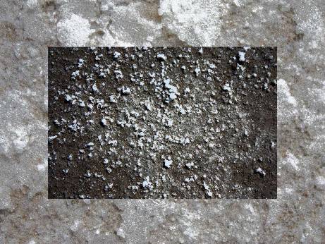 ستارگان زمین