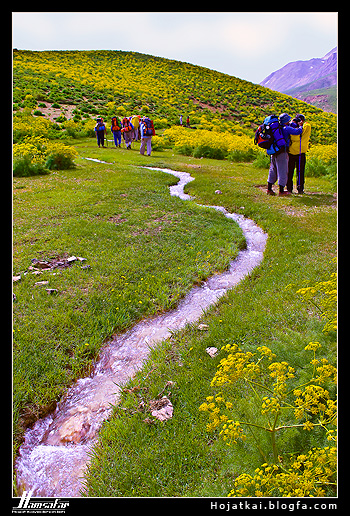 عکس : حجت کایدخورده