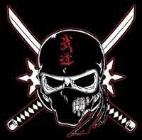NinjaSkull(web).jpg