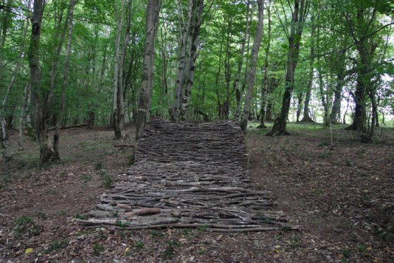 carpet- newart group