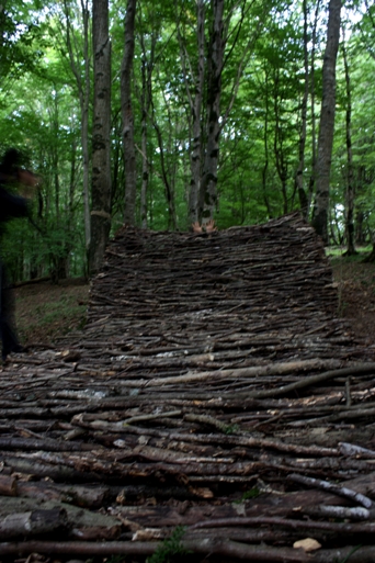 carpet- newart group