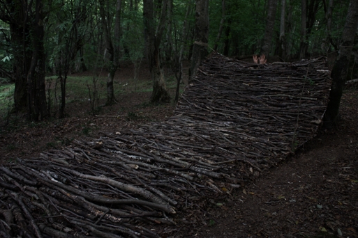 carpet- newart group