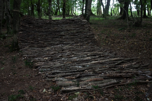 carpet- newart group