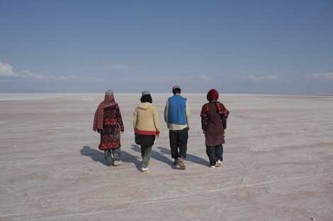 گروه هنر جدید- کار 3549