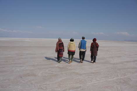 گروه هنر جدید- کار 3549