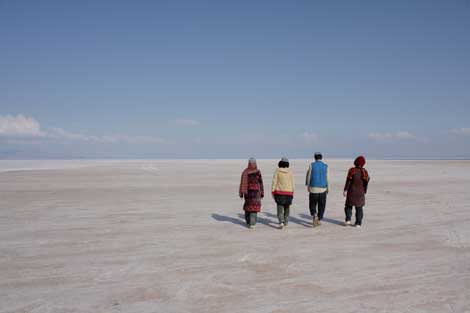 گروه هنر جدید- کار 3549