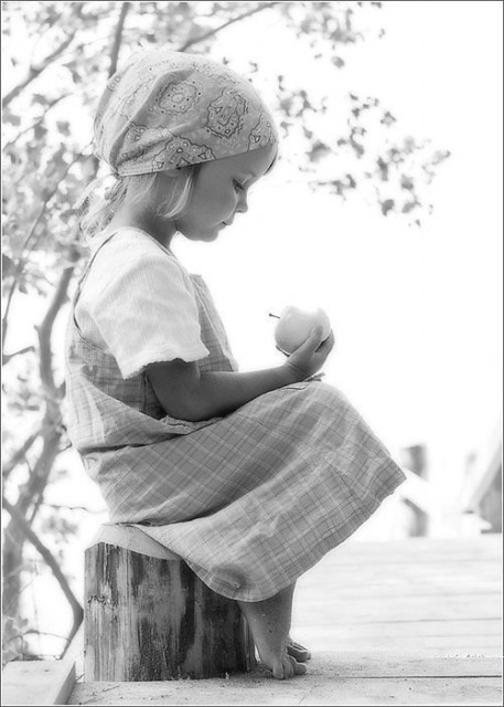http://img.majidonline.com/pic/239070/3.jpg
