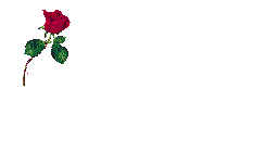 [تصویر: 4hlxvnr.gif]