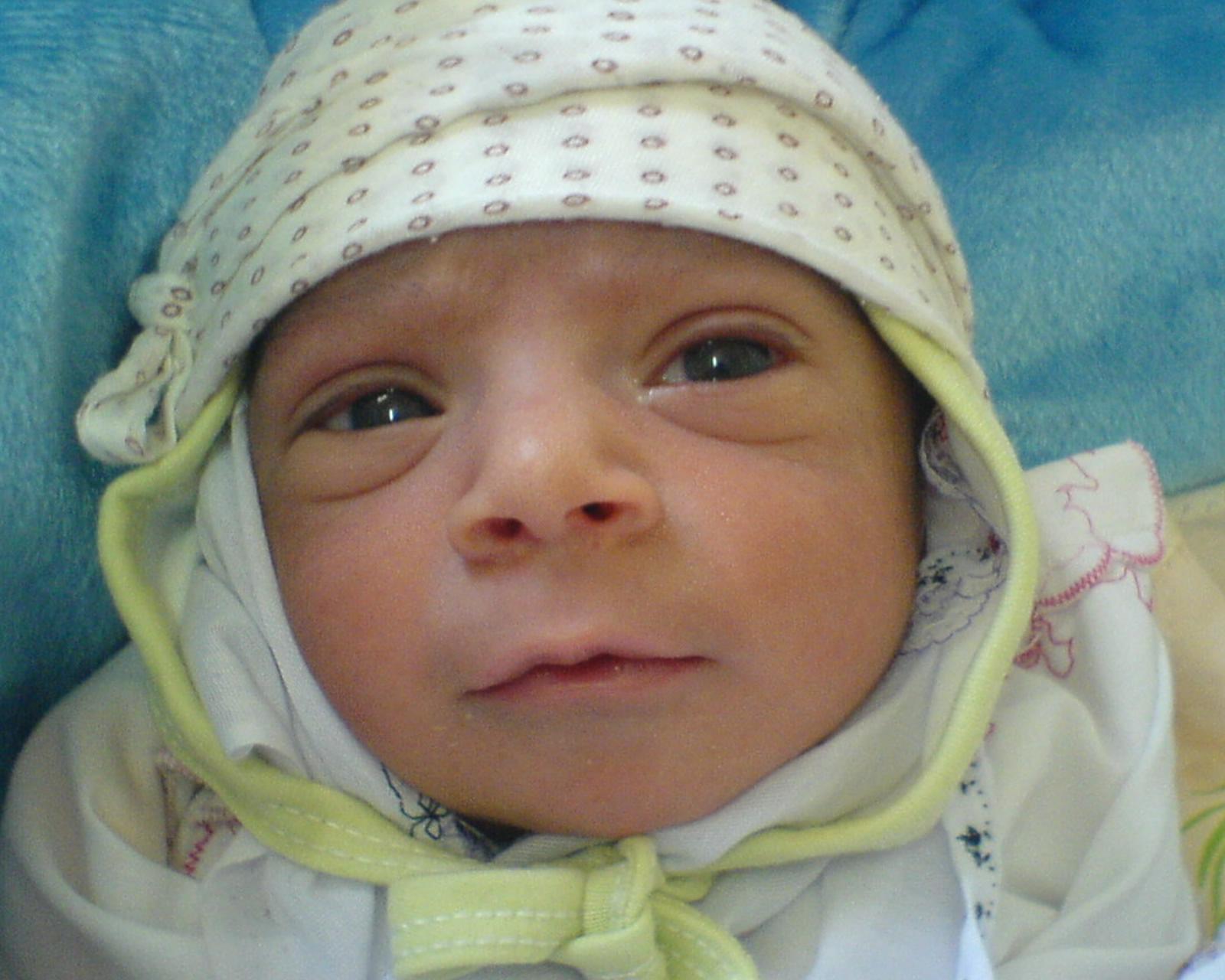 محمدهانی