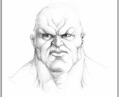 face01.jpg
