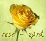 عشق یعنی شکستن