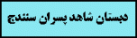آقای فواد حسامی