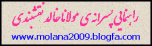 آقای سید حسن سجادی